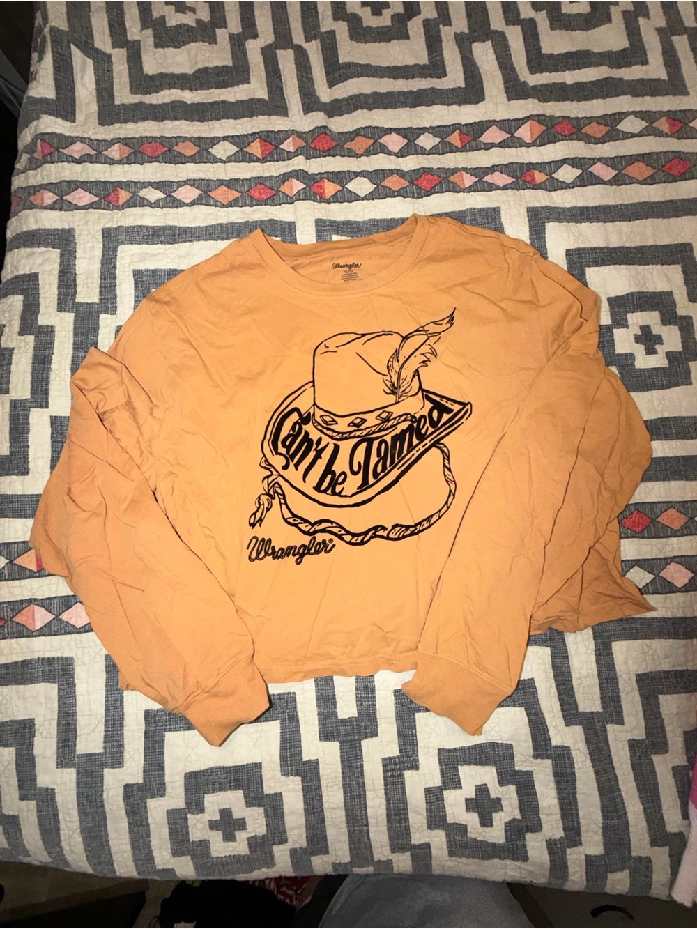 Wrangler Orange Graphic Crewneck Sweatshirt Cropped